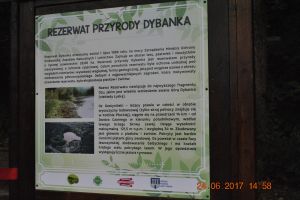 Dybanka - reaktywacja