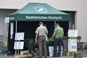 Jarmark Gostyniski w. Jakuba (33).JPG