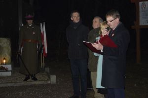 Gostynińskie obchody Odzyskania Niepodległości przez Polskę