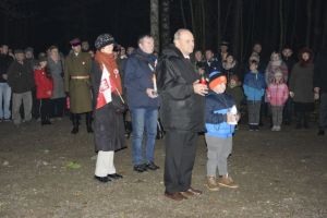 Gostynińskie obchody Odzyskania Niepodległości przez Polskę