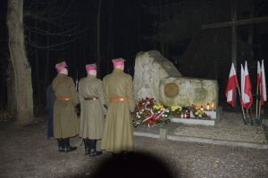 Gostynińskie obchody Odzyskania Niepodległości przez Polskę