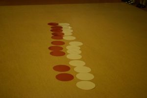 tn__DSC0692