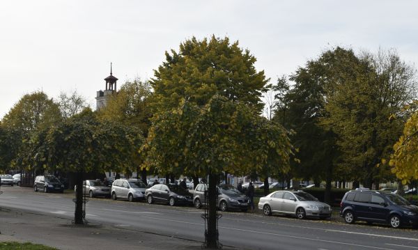 Postój taksówek przy ul. Rynek