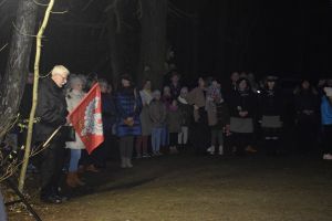 Obchody 103. rocznicy Odzyskania Niepodległości przez Polskę