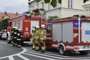 Obchody kolejnej rocznicy Powstania Warszawskiego