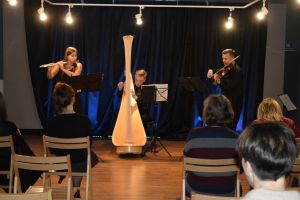 Koncert Cracow Harp Quintet