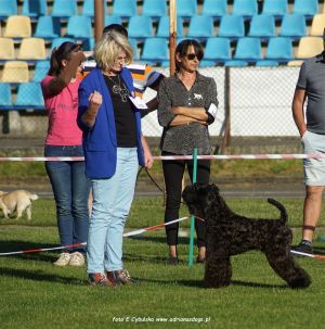 foto: Ewa Cybulska