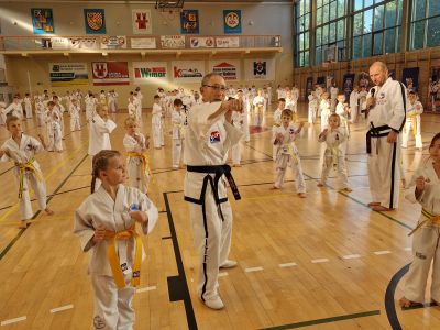 Seminarium Taekwon-do