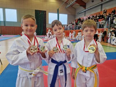 Taekwon-do Gostynin