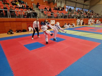 Taekwon-do Gostynin