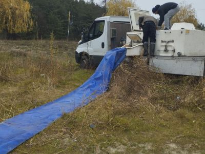 Zarybianie na jez. Zamkowym i Bratoszewo