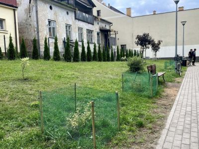 Nowe ławki i nasadzenia ulice Zazamcze, Czapskiego, 3 Maja