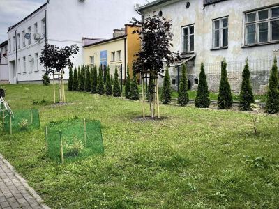 Nowe ławki i nasadzenia ulice Zazamcze, Czapskiego, 3 Maja