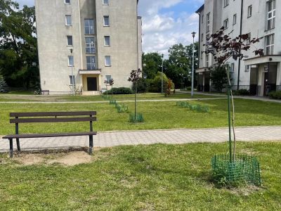 Nowe ławki i nasadzenia ulice Zazamcze, Czapskiego, 3 Maja
