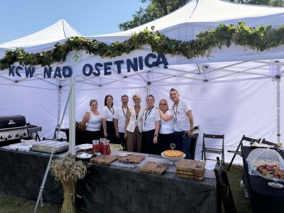MAZOpiknik w Gostyninie