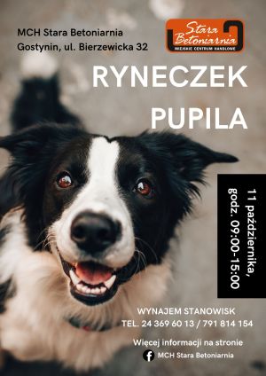 Ryneczek Pupila – MCH Stara Betoniarnia