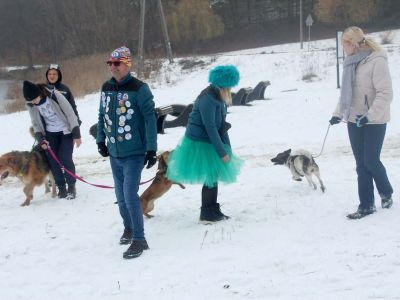 morsowanie na 4 łapy