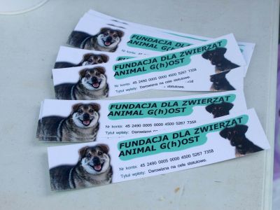 morsowanie na 4 łapy