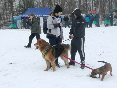 morsowanie na 4 łapy