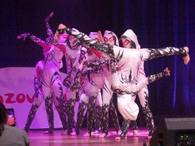 Z miłości do zwierząt - Koncert na 4 łapy