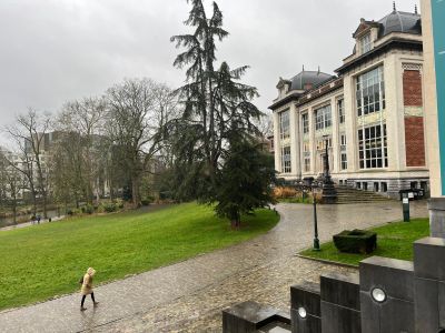 Gostynińska młodzież kontynuuje wizytę studyjną w Brukseli. Zwiedzanie miasta i spotkanie z europosłem Andrzejem Halickim