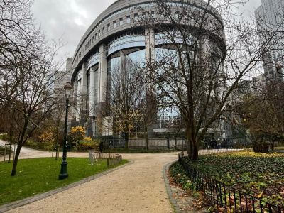 Gostynińska młodzież kontynuuje wizytę studyjną w Brukseli. Zwiedzanie miasta i spotkanie z europosłem Andrzejem Halickim