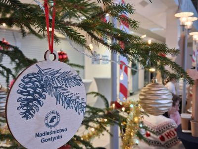 Gostyniński Jarmark Bożonarodzeniowy – święto, które na długo zostanie w pamięci