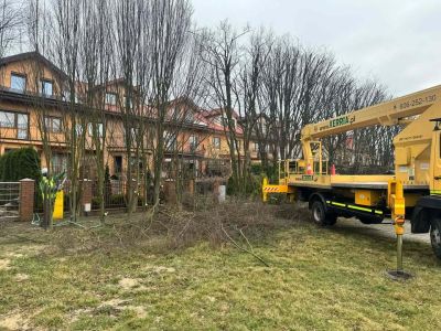 Pielęgnacja drzew na ul. Langenfeld