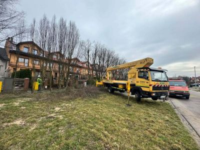 Pielęgnacja drzew na ul. Langenfeld