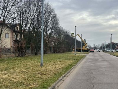 Pielęgnacja drzew na ul. Langenfeld