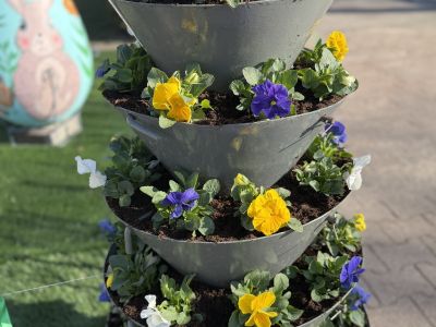 Rozpoczęliśmy pierwszy etap wiosennych nasadzeń w Gostyninie! 