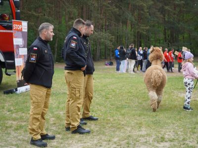 Sport, radość i integracja bez barier!