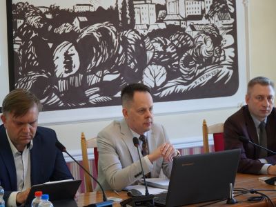 XXXI SESJI RADY MIEJSKIEJ - IX KADENCJI W GOSTYNINIE