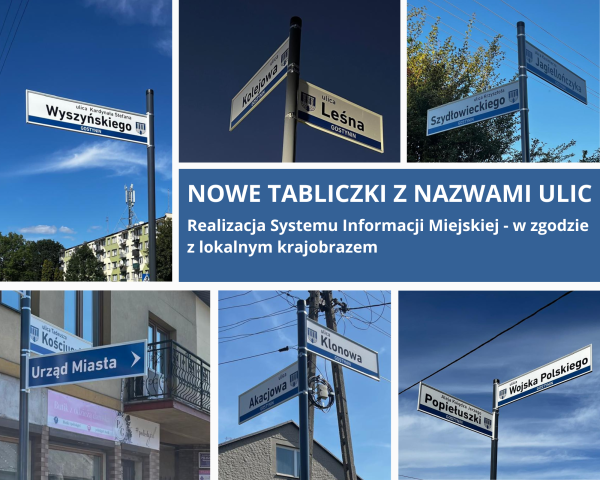 Realizacja Systemu Informacji Miejskiej - w zgodzie z lokalnym krajobrazem