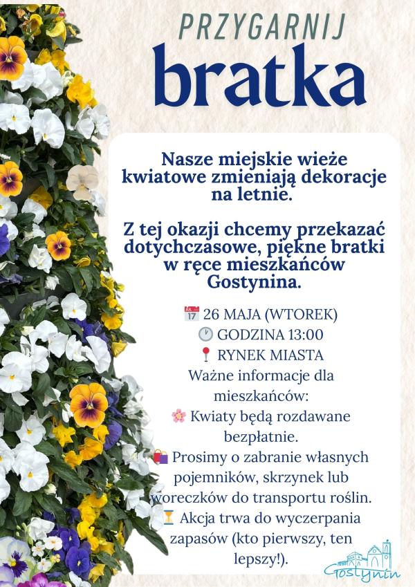 Bratki szukają nowych domów! Przygarnij kwiatka od miasta!