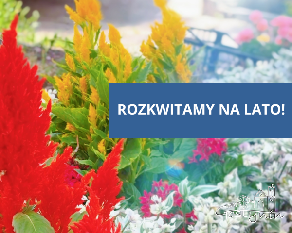 Rozkwitamy na lato!